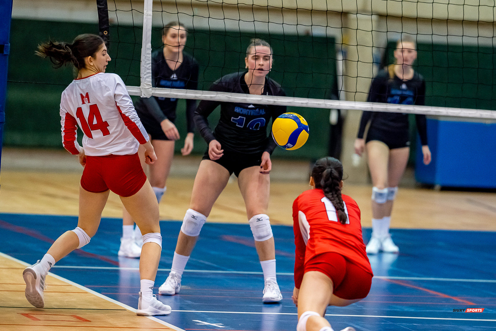 Gabrielle FORTIN - Masha SOLAJA - Catherine VERCHEVAL - - Université de Montréal - Université McGill - Volleyball - RSEQ - 2023 Volley F - Université de Montréal (1) vs (3) McGill University - R5 (#RSEQ2023UDMvMCG01R5) Photo by: Juan Alchourron | Siuxy Sports Gabrielle FORTIN - Masha SOLAJA - Catherine VERCHEVAL - - Université de Montréal - Université McGill - Volleyball - RSEQ - 2023 Volley F - Université de Montréal (1) vs (3) McGill University - R5 (#RSEQ2023UDMvMCG01R5) Photo by: Juan Alchourron | Siuxy Sports