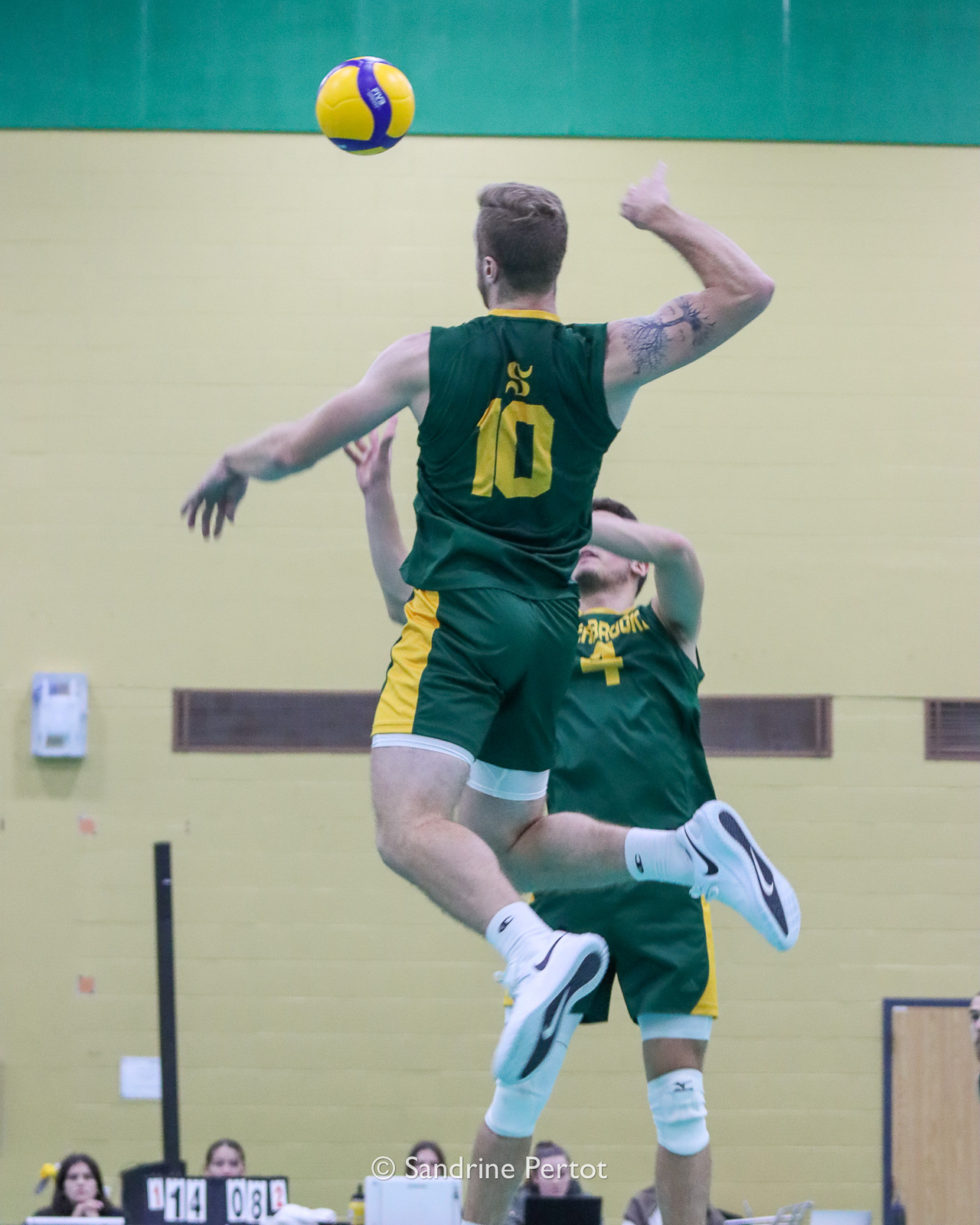  Université de Sherbrooke - Université de Montréal - Volleyball - RSEQ - 2022 Volley M - Université Sherbrooke (2) vs (3) Université de Montréal (#RSEQ2022USHvUDM06) Photo by: Sandrine Pertot | Siuxy Sports 2022-10-16