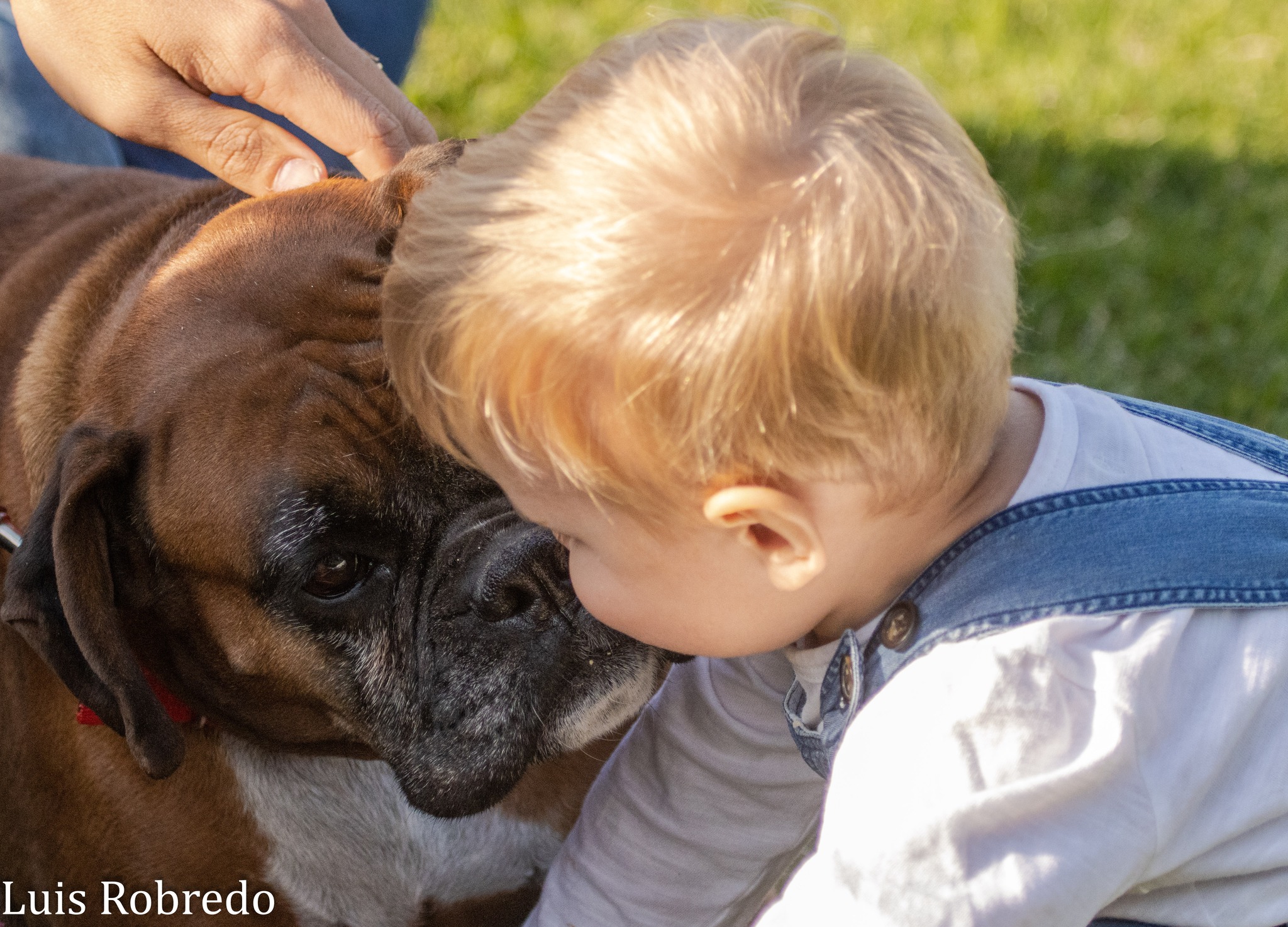  Areco Rugby Club - Asociación Lanús Rugby Club - Rugby - Areco RC Vs Lanus RC (#2023ArecoLanus04) Photo by: Luis Robredo | Siuxy Sports 2023-04-22