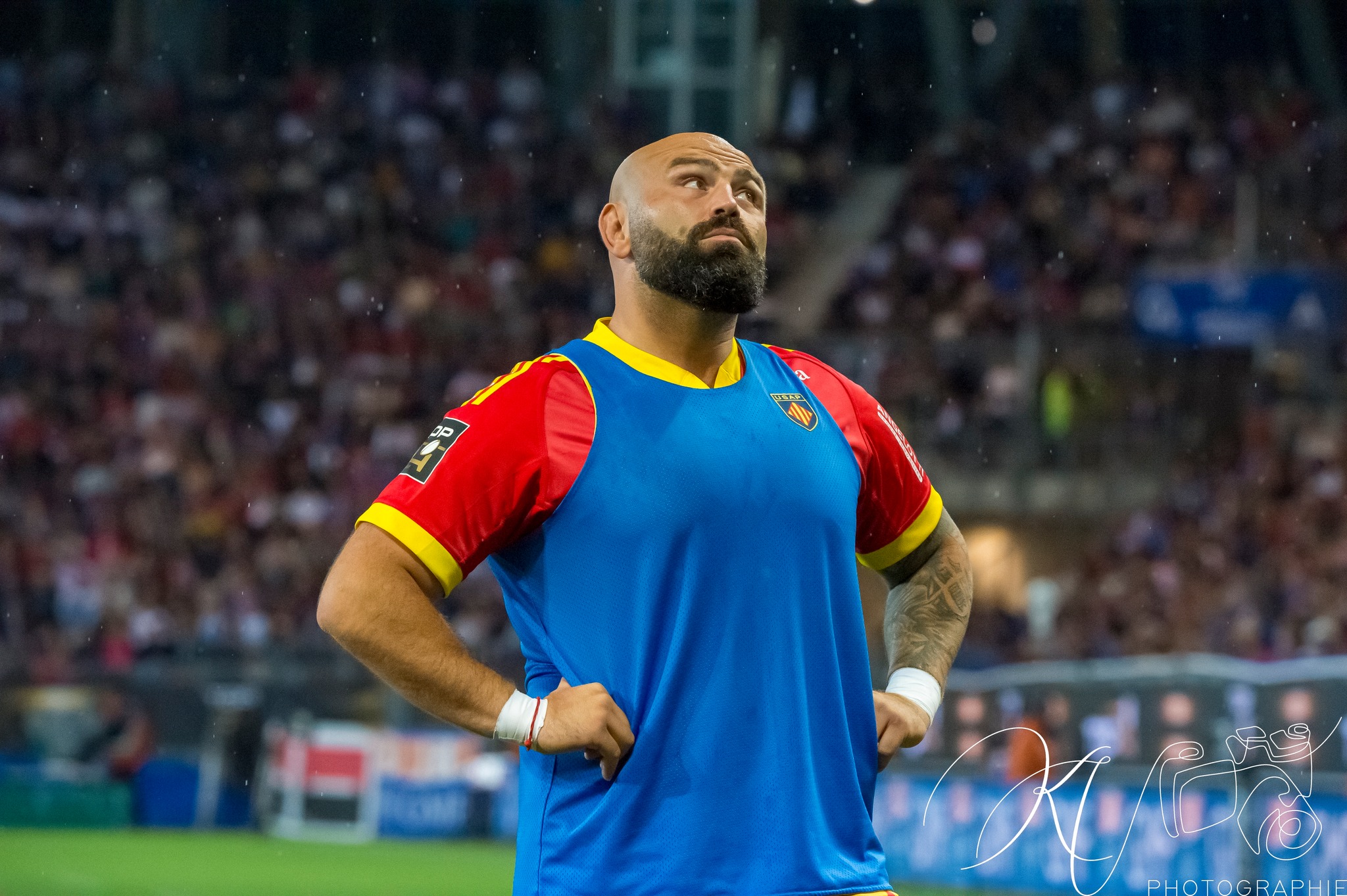  FC Grenoble Rugby - US Arlequins Perpignanais - Rugby - 2023 - Access Match - FC Grenoble (19) vs (33) US Arlequins Perpignananais (#2023FCGUSAP06) Photo by: Karine Valentin | Siuxy Sports 2023-06-03