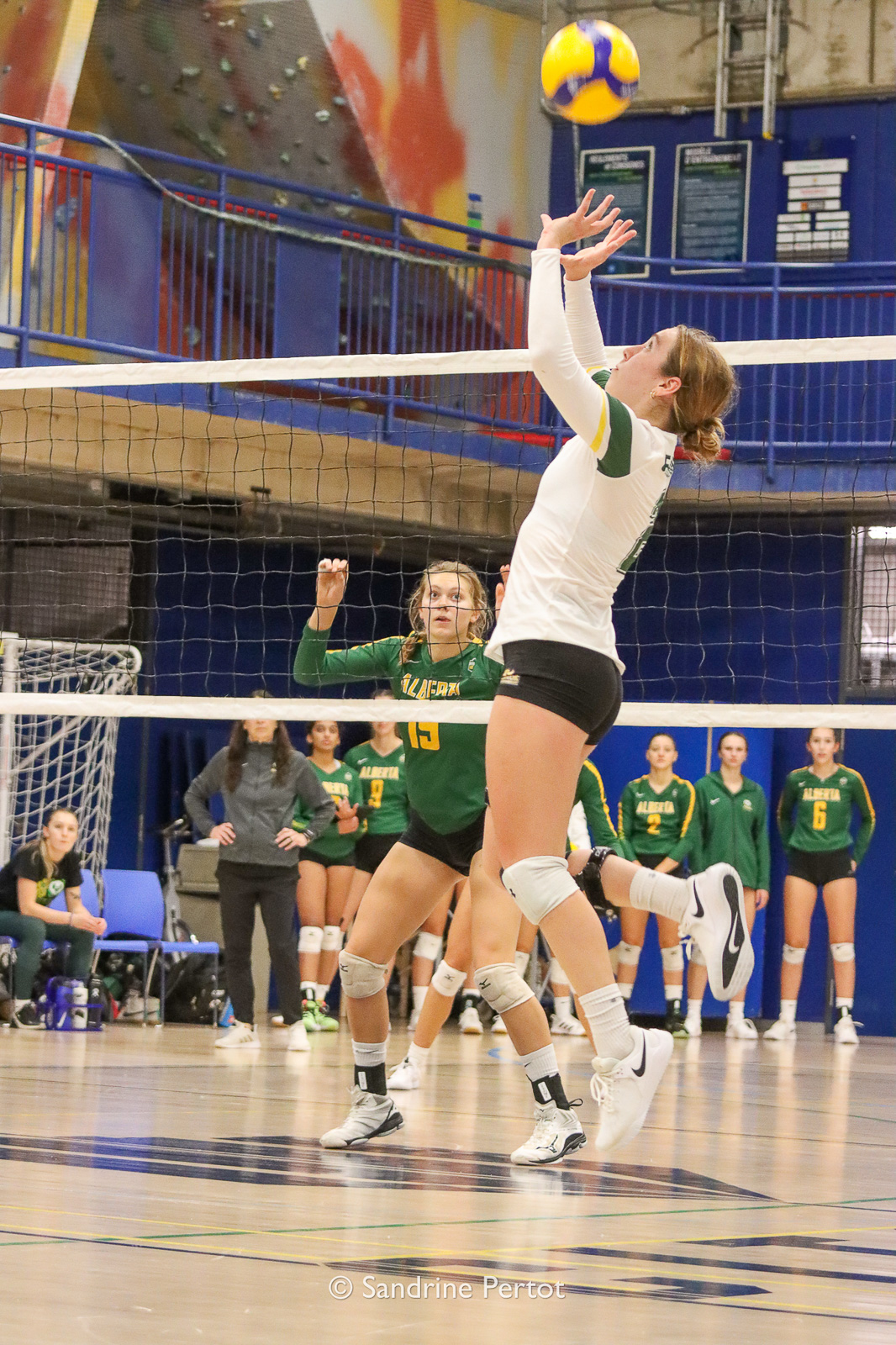 Émilie DUMETZ -  Université de Sherbrooke -  - Volleyball - UQAM Invitational 2022 - Vert et Or (#2022UQAMINV05) Photo by: Sandrine Pertot | Siuxy Sports 2022-09-24