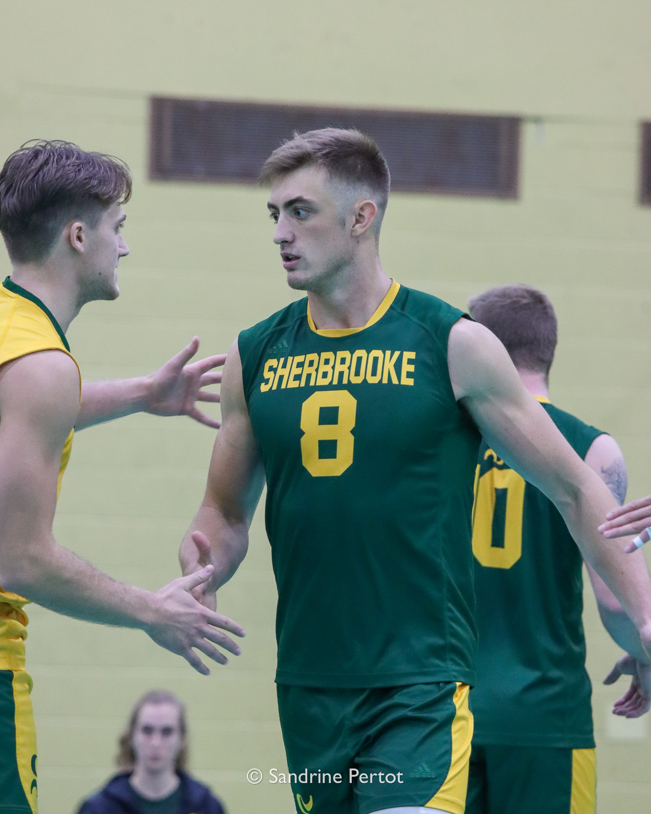  Université de Sherbrooke - Université de Montréal - Volleyball - RSEQ - 2022 Volley M - Université Sherbrooke (2) vs (3) Université de Montréal (#RSEQ2022USHvUDM06) Photo by: Sandrine Pertot | Siuxy Sports 2022-10-16