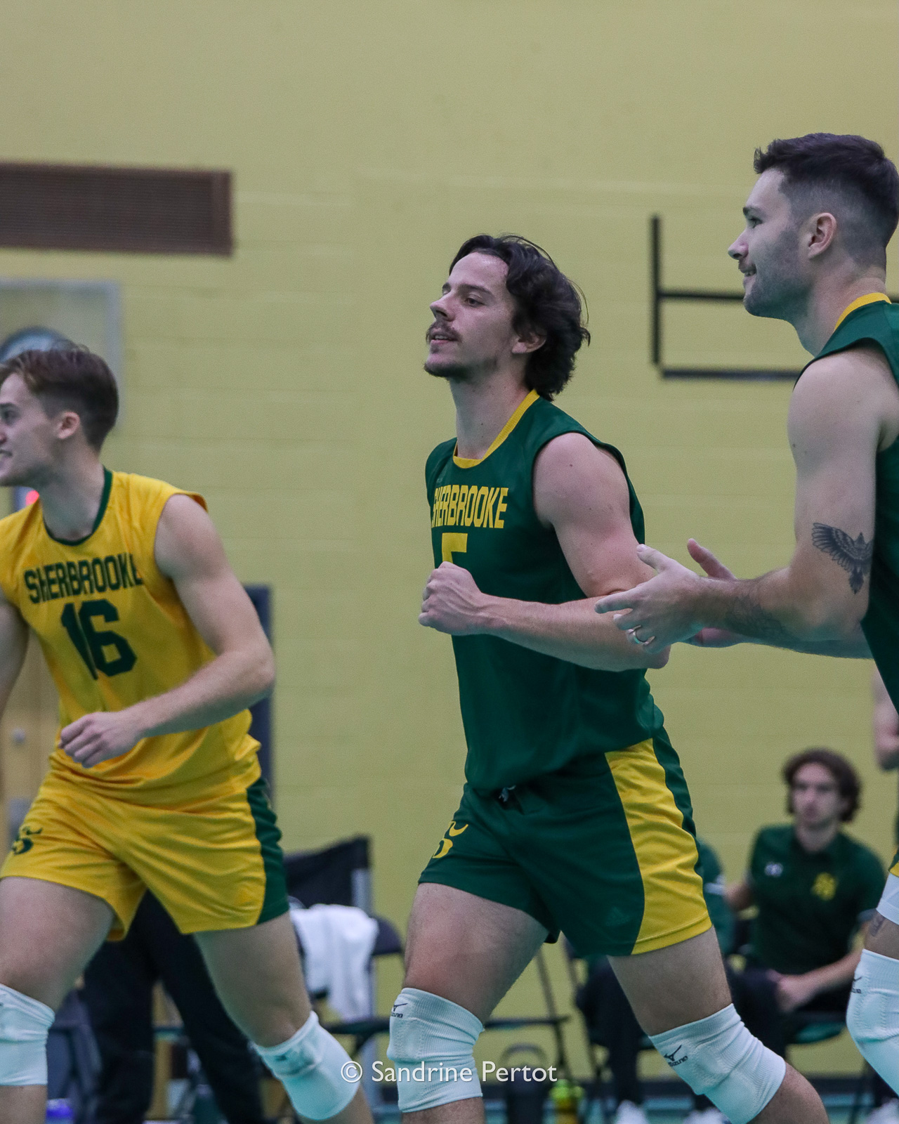  Université de Sherbrooke - Université de Montréal - Volleyball - RSEQ - 2022 Volley M - Université Sherbrooke (2) vs (3) Université de Montréal (#RSEQ2022USHvUDM06) Photo by: Sandrine Pertot | Siuxy Sports 2022-10-16