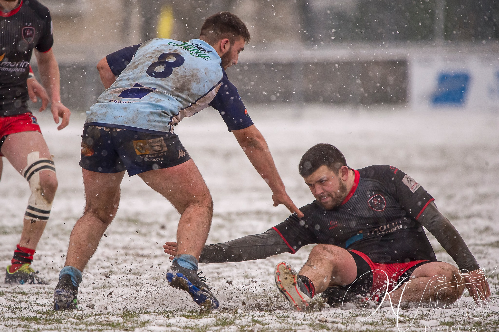  Saint-Marcellin Sports - Sporting Club Royannais - Rugby - SMS Rugby vs Sporting Club Royannais (#2023SMSvSCR01) Photo by: Karine Valentin | Siuxy Sports 2023-01-22