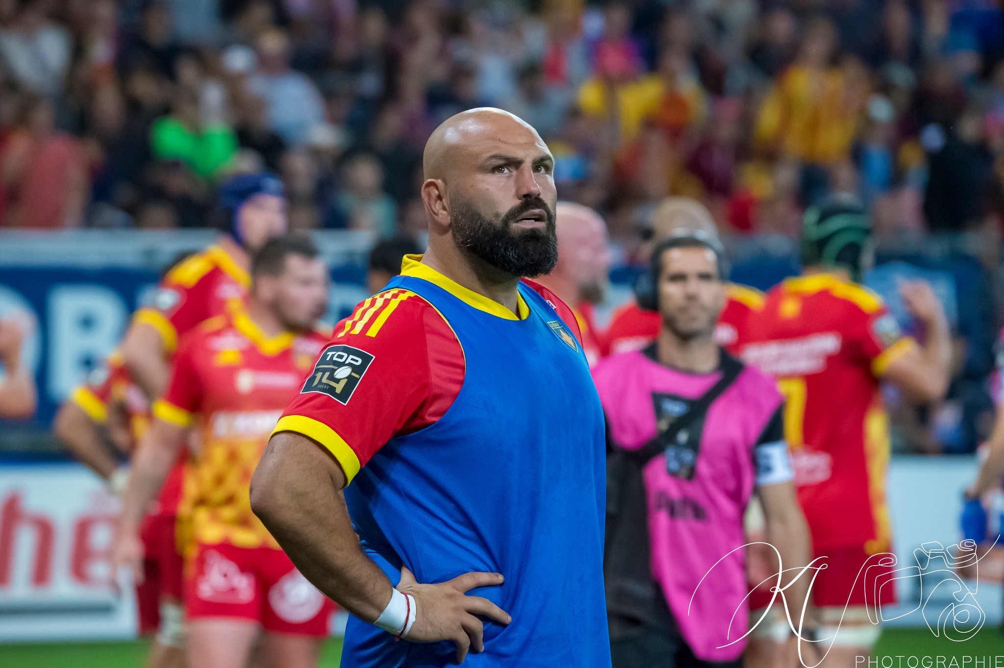  FC Grenoble Rugby - US Arlequins Perpignanais - Rugby - 2023 - Access Match - FC Grenoble (19) vs (33) US Arlequins Perpignananais (#2023FCGUSAP06) Photo by: Karine Valentin | Siuxy Sports 2023-06-03