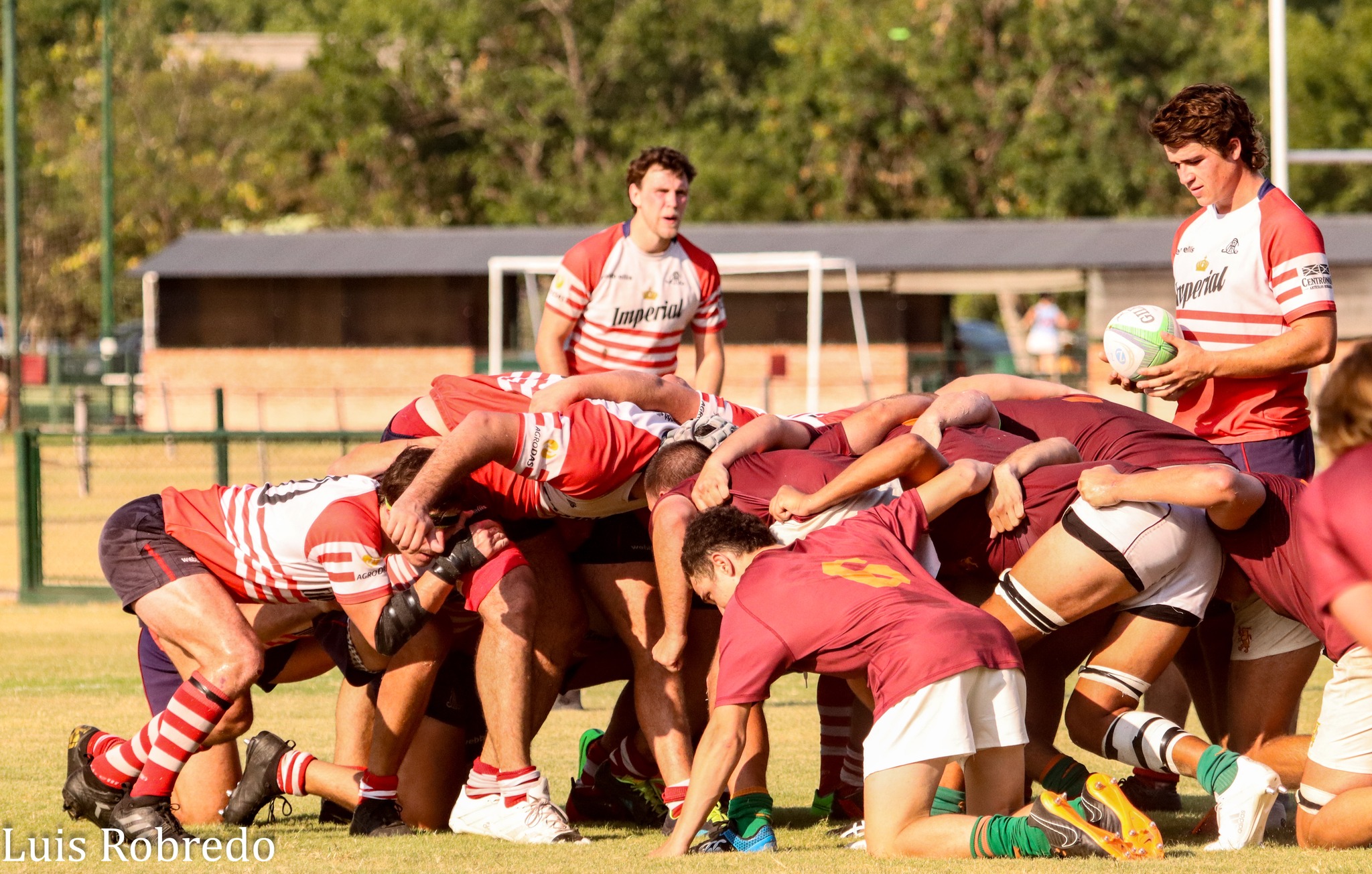  Areco Rugby Club - Newman - Rugby - Areco Rugby Club vs Newman (Inter) (#ArecoNewman2023) Photo by: Luis Robredo | Siuxy Sports 2023-03-11