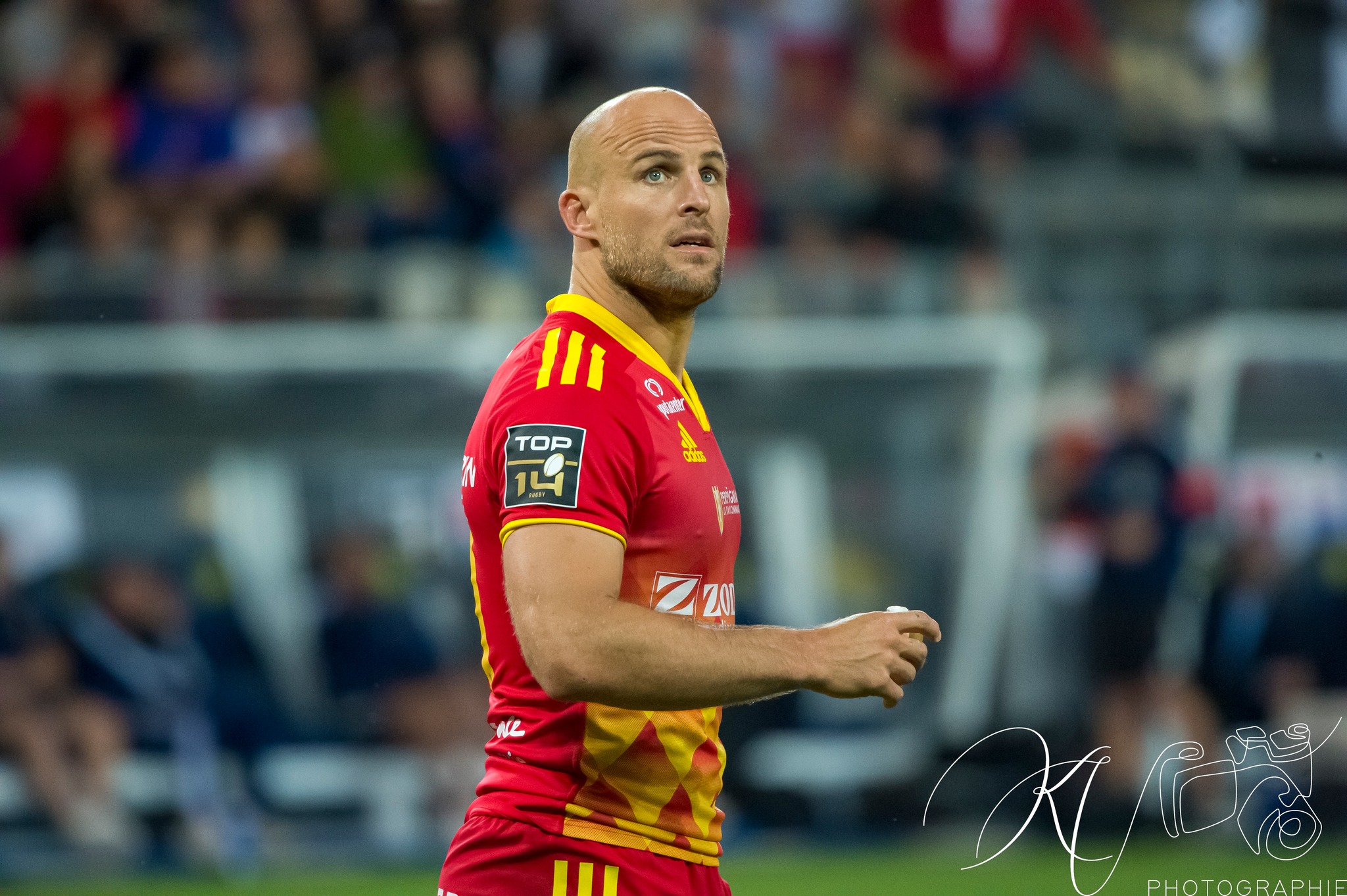  FC Grenoble Rugby - US Arlequins Perpignanais - Rugby - 2023 - Access Match - FC Grenoble (19) vs (33) US Arlequins Perpignananais (#2023FCGUSAP06) Photo by: Karine Valentin | Siuxy Sports 2023-06-03