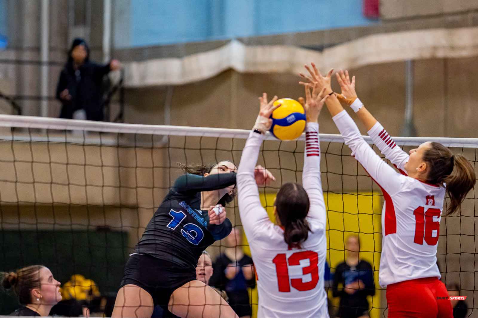 Milica DJORDJEVIC - Charlene ROBITAILLE - - Université de Montréal - Université McGill - Volleyball - RSEQ - 2023 Volley F - Université de Montréal (1) vs (3) McGill University - R4 (#RSEQ2023UDMvMCG01R4) Photo by: Juan Alchourron | Siuxy Sports Milica DJORDJEVIC - Charlene ROBITAILLE - - Université de Montréal - Université McGill - Volleyball - RSEQ - 2023 Volley F - Université de Montréal (1) vs (3) McGill University - R4 (#RSEQ2023UDMvMCG01R4) Photo by: Juan Alchourron | Siuxy Sports