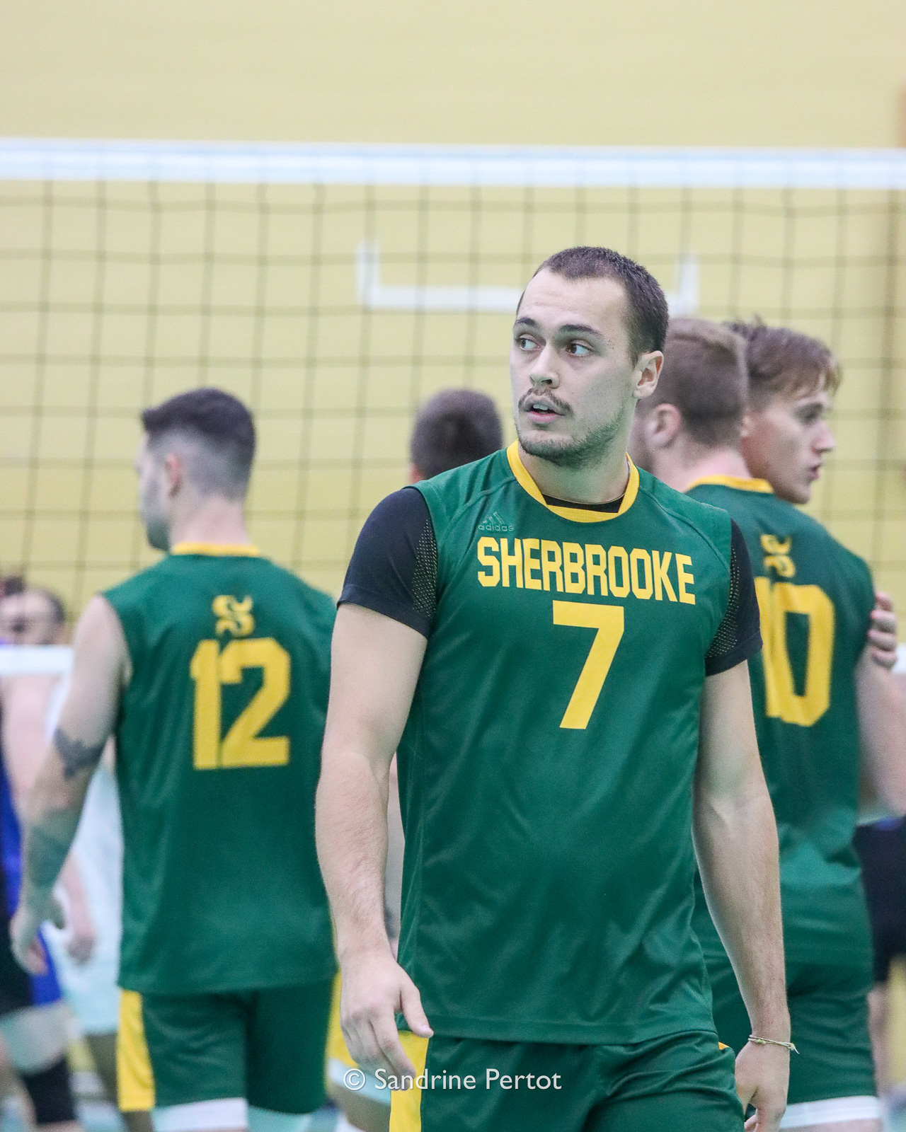  Université de Sherbrooke - Université de Montréal - Volleyball - RSEQ - 2022 Volley M - Université Sherbrooke (2) vs (3) Université de Montréal (#RSEQ2022USHvUDM06) Photo by: Sandrine Pertot | Siuxy Sports 2022-10-16
