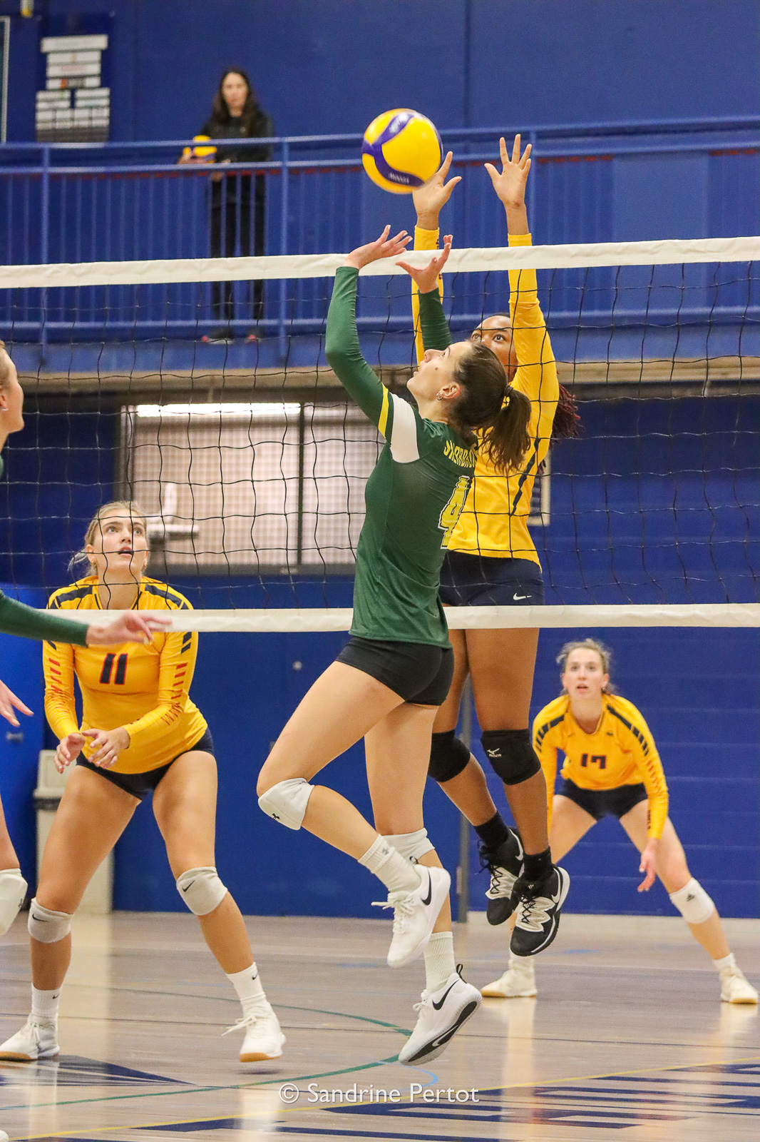  Université de Sherbrooke -  - Volleyball - UQAM Invitational 2022 - Vert et Or (#2022UQAMINV02) Photo by: Sandrine Pertot | Siuxy Sports 2022-09-23