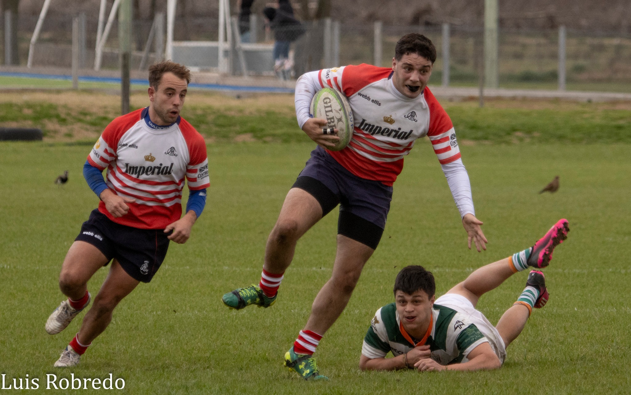  Areco Rugby Club - St. Brendan's Rugby Club - Rugby - URBA 2023 - 1RA C - ARECO RC (45) VS (31) St. Brendan's RC (#URBA2023ArecovSB08) Photo by: Luis Robredo | Siuxy Sports 2023-08-19