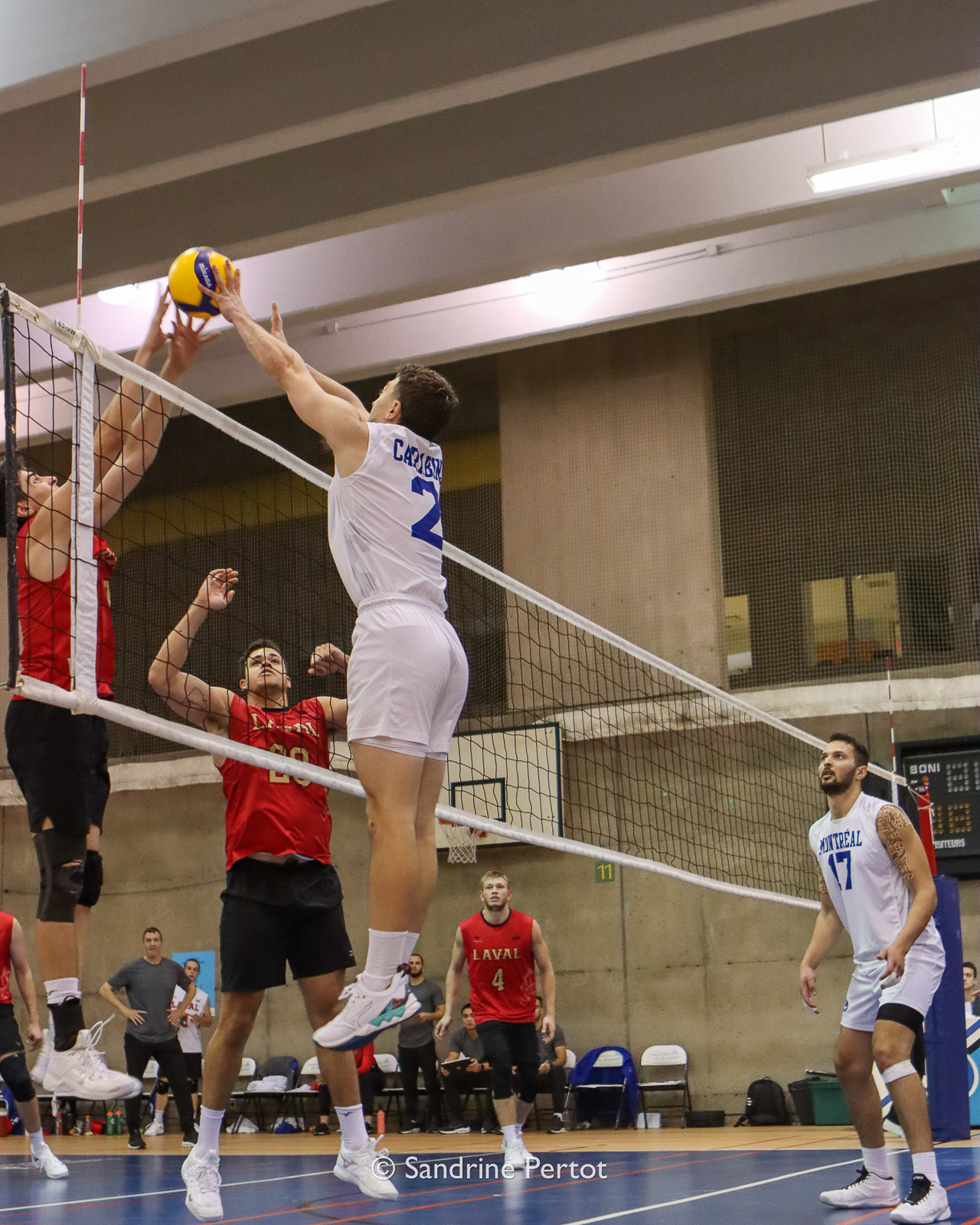  Université de Montréal - Université Laval - Volleyball - RSEQ - 2022 Volley M - Université de Montréal (2) vs (3) Université Laval (#RSEQ2022UdeMvUL08) Photo by: Sandrine Pertot | Siuxy Sports 2022-10-14