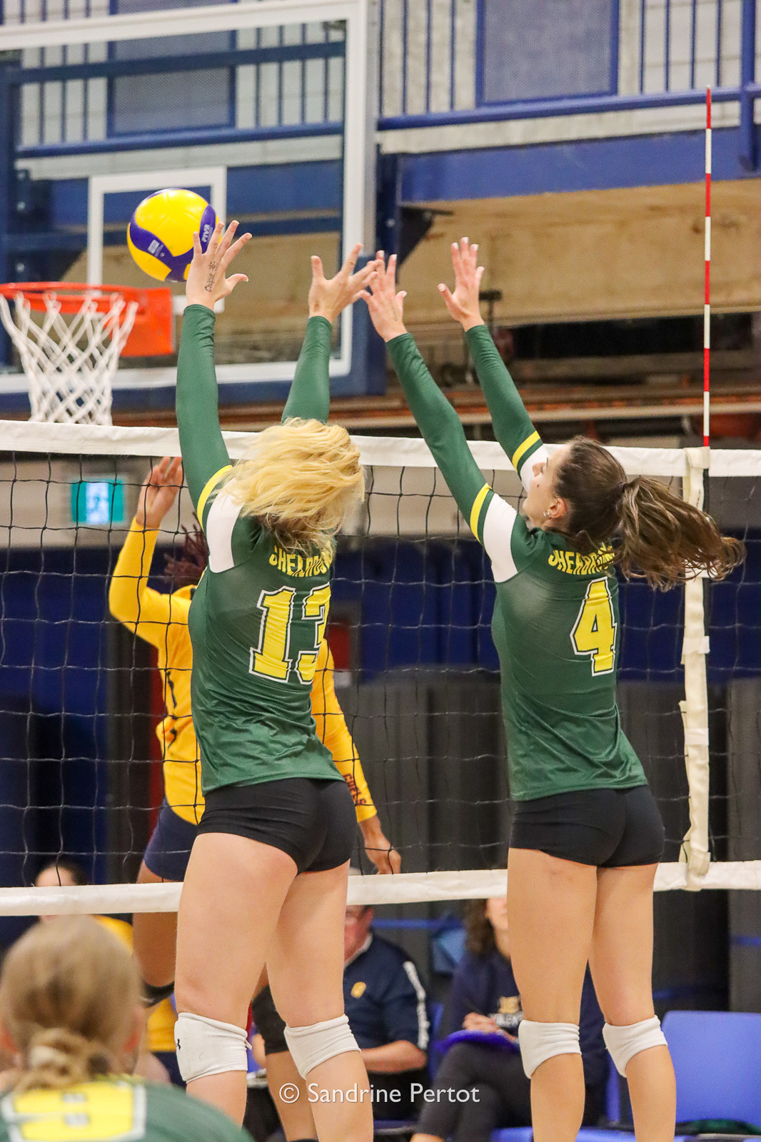  Université de Sherbrooke -  - Volleyball - UQAM Invitational 2022 - Vert et Or (#2022UQAMINV02) Photo by: Sandrine Pertot | Siuxy Sports 2022-09-23