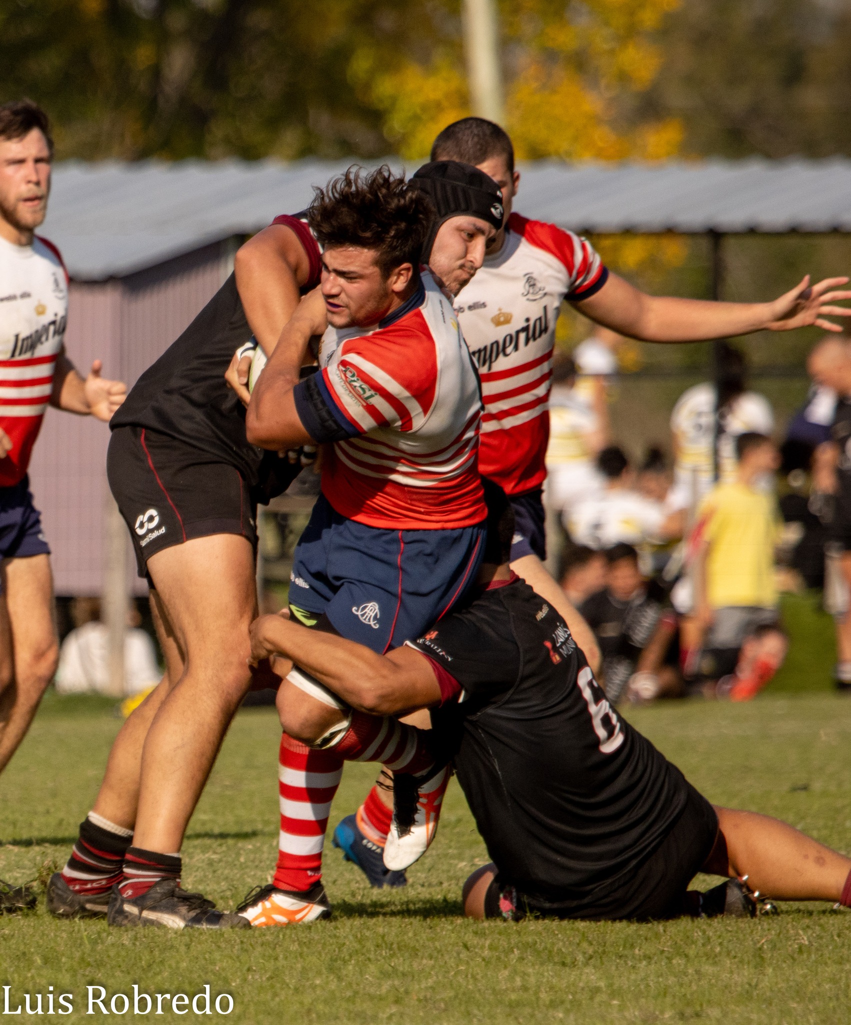 Areco Rugby Club - Asociación Lanús Rugby Club - Rugby - Areco RC Vs Lanus RC (#2023ArecoLanus04) Photo by: Luis Robredo | Siuxy Sports 2023-04-22