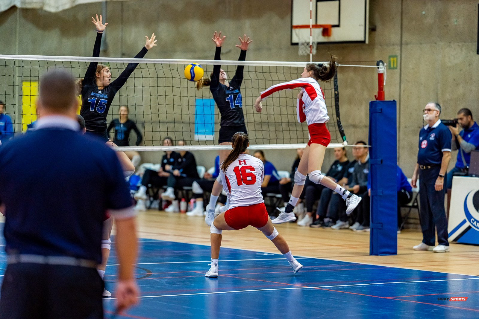 Charlene ROBITAILLE - - Université de Montréal - Université McGill - Volleyball - RSEQ - 2023 Volley F - Université de Montréal (1) vs (3) McGill University - R5 (#RSEQ2023UDMvMCG01R5) Photo by: Juan Alchourron | Siuxy Sports Charlene ROBITAILLE - - Université de Montréal - Université McGill - Volleyball - RSEQ - 2023 Volley F - Université de Montréal (1) vs (3) McGill University - R5 (#RSEQ2023UDMvMCG01R5) Photo by: Juan Alchourron | Siuxy Sports