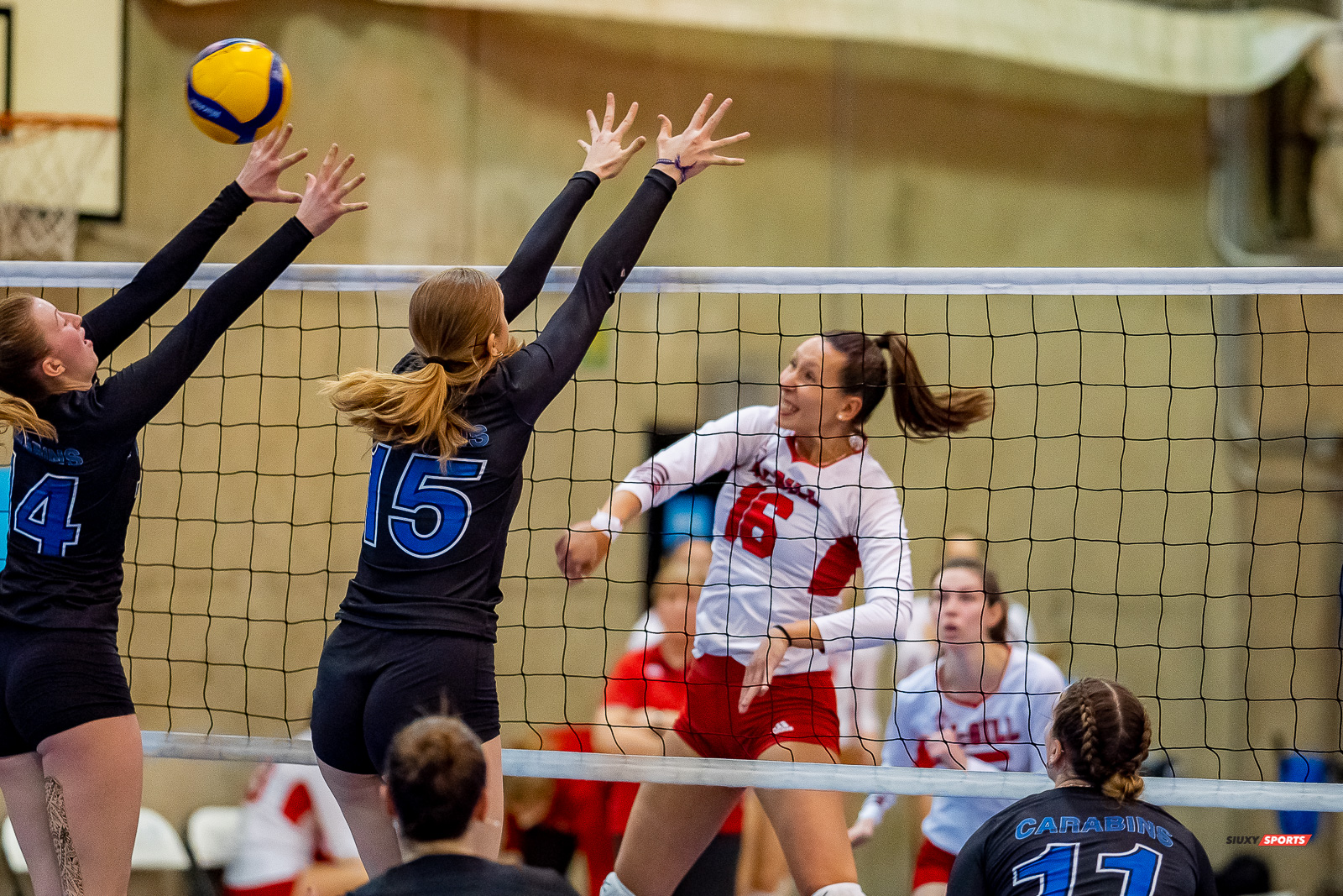 Olympe DESMEDT - Gabrielle FORTIN - Charlene ROBITAILLE - - Université de Montréal - Université McGill - Volleyball - RSEQ - 2023 Volley F - Université de Montréal (1) vs (3) McGill University - R4 (#RSEQ2023UDMvMCG01R4) Photo by: Juan Alchourron | Siuxy Sports Olympe DESMEDT - Gabrielle FORTIN - Charlene ROBITAILLE - - Université de Montréal - Université McGill - Volleyball - RSEQ - 2023 Volley F - Université de Montréal (1) vs (3) McGill University - R4 (#RSEQ2023UDMvMCG01R4) Photo by: Juan Alchourron | Siuxy Sports