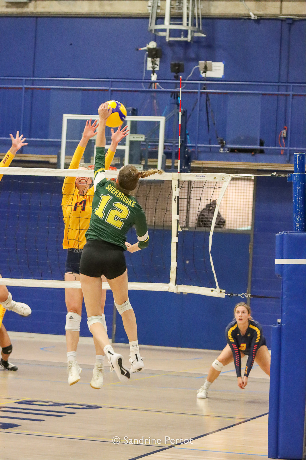  Université de Sherbrooke -  - Volleyball - UQAM Invitational 2022 - Vert et Or (#2022UQAMINV02) Photo by: Sandrine Pertot | Siuxy Sports 2022-09-23
