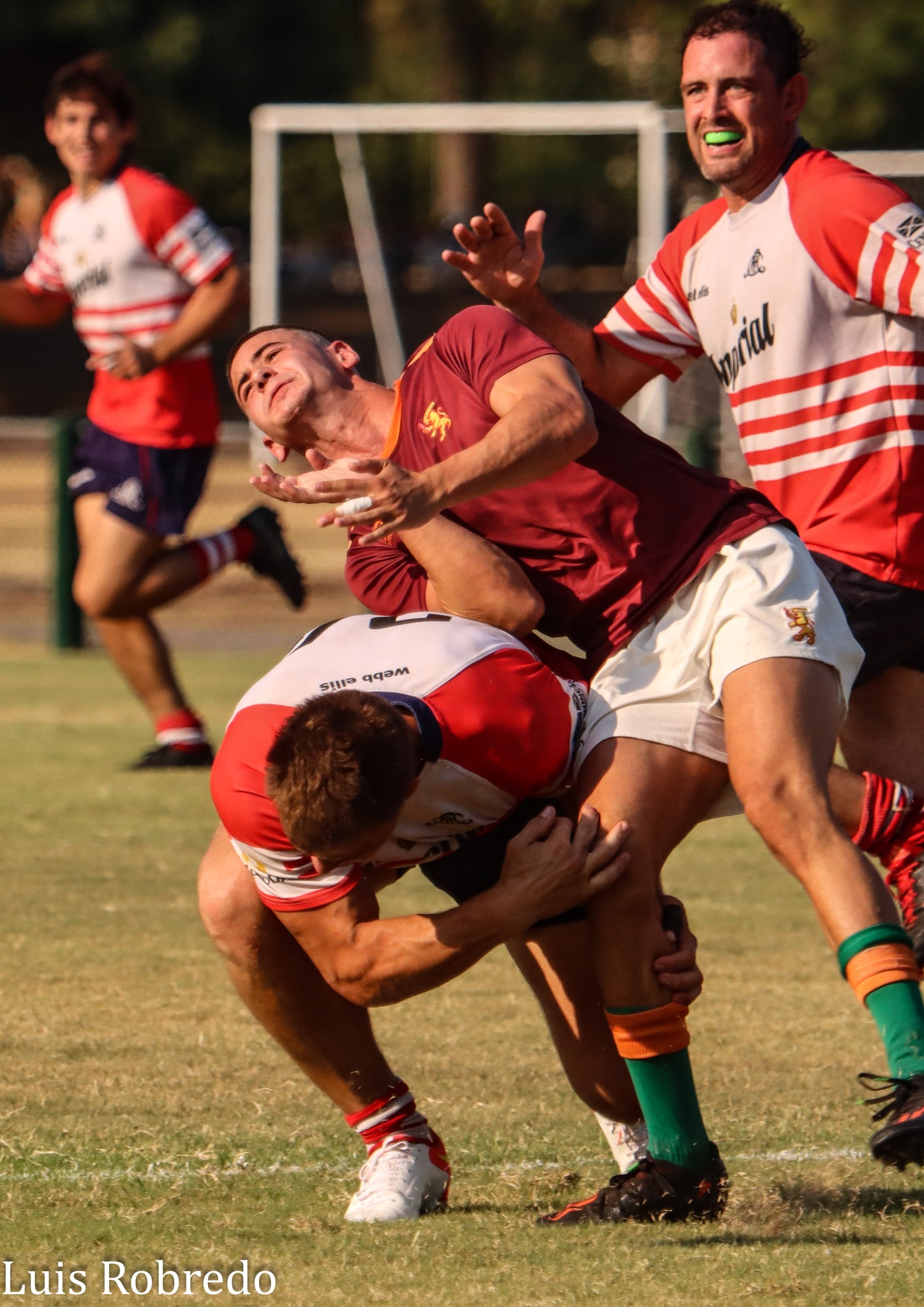  Areco Rugby Club - Newman - Rugby - Areco Rugby Club vs Newman (Inter) (#ArecoNewman2023) Photo by: Luis Robredo | Siuxy Sports 2023-03-11