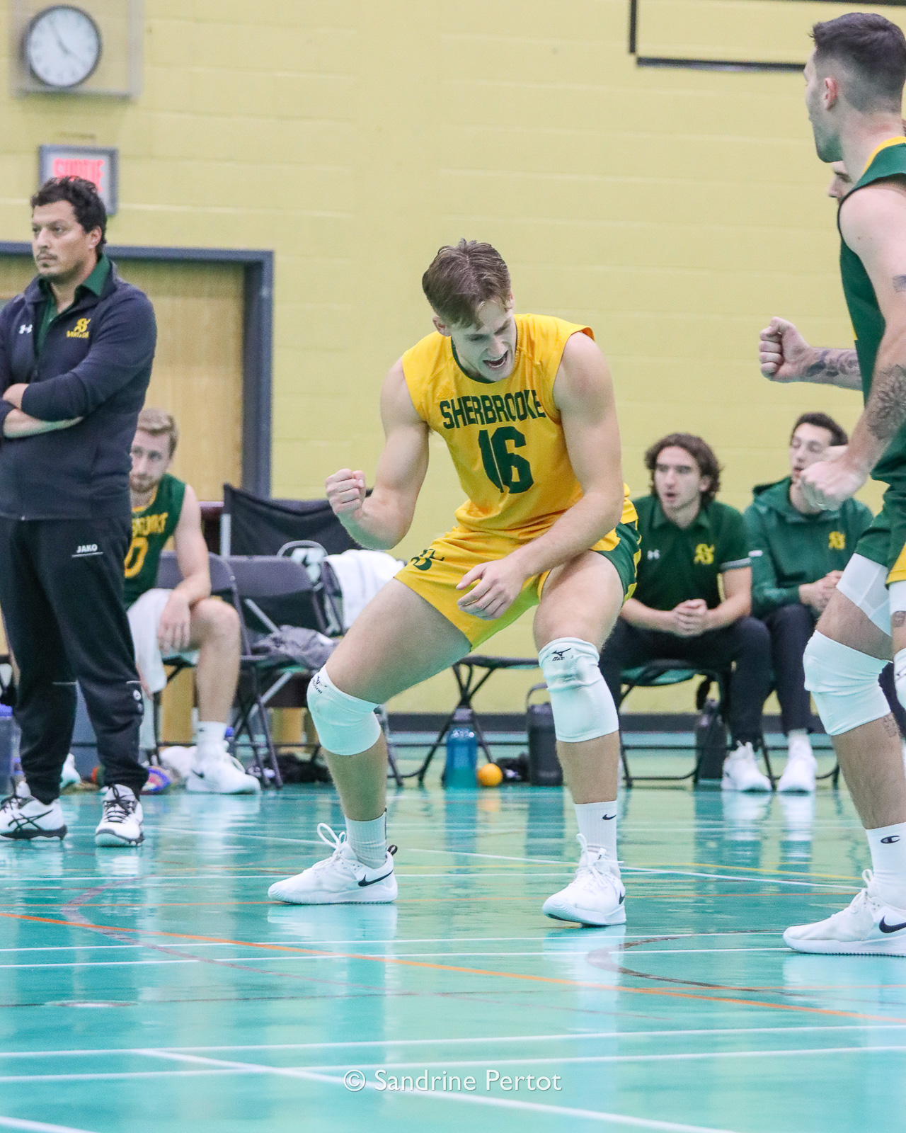  Université de Sherbrooke - Université de Montréal - Volleyball - RSEQ - 2022 Volley M - Université Sherbrooke (2) vs (3) Université de Montréal (#RSEQ2022USHvUDM06) Photo by: Sandrine Pertot | Siuxy Sports 2022-10-16