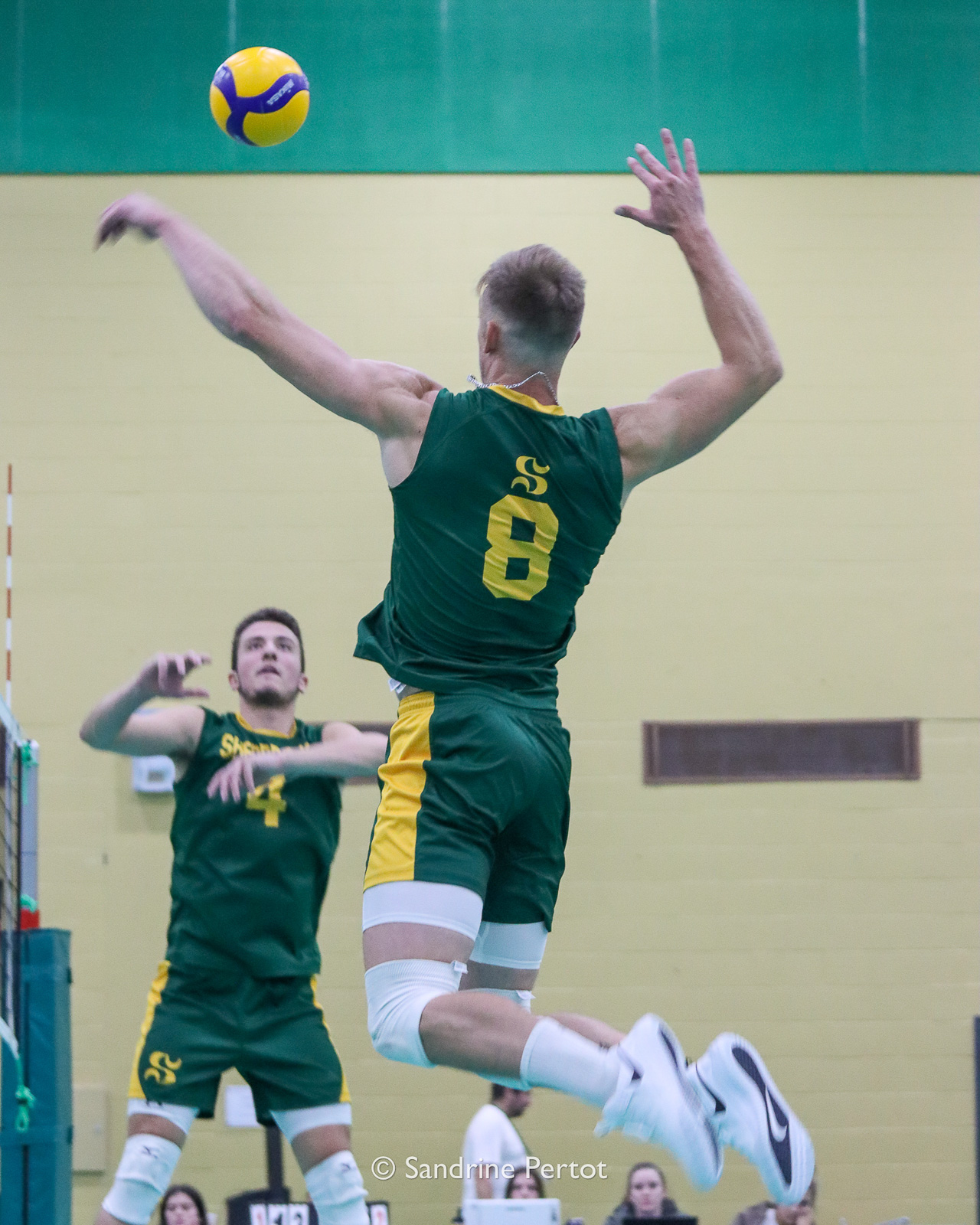  Université de Sherbrooke - Université de Montréal - Volleyball - RSEQ - 2022 Volley M - Université Sherbrooke (2) vs (3) Université de Montréal (#RSEQ2022USHvUDM06) Photo by: Sandrine Pertot | Siuxy Sports 2022-10-16