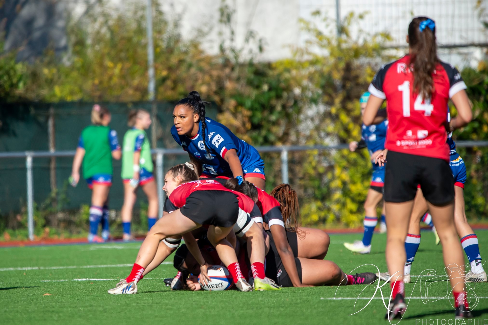  FC Grenoble Rugby - Stade Rennais Rugby - Rugby - Elite 2023 - Amazones FC Grenoble (34) vs (12) Stade Rennais Rugby (#2023FCGSRR11) Photo by: Karine Valentin | Siuxy Sports 2023-11-23