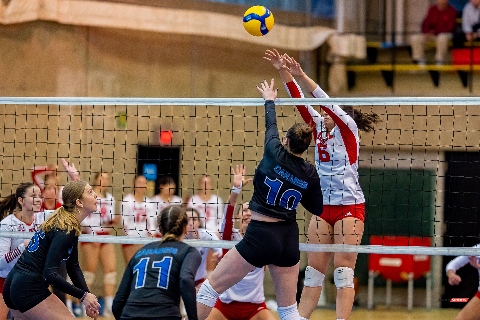 Gabrielle FORTIN - Myriam KAYSER-TOURIGNY - Sarah MCGLASHAN - - Université de Montréal - Université McGill - Volleyball - RSEQ - 2023 Volley F - Université de Montréal (1) vs (3) McGill University - R4 (#RSEQ2023UDMvMCG01R4) Photo by: Juan Alchourron | Siuxy Sports Gabrielle FORTIN - Myriam KAYSER-TOURIGNY - Sarah MCGLASHAN - - Université de Montréal - Université McGill - Volleyball - RSEQ - 2023 Volley F - Université de Montréal (1) vs (3) McGill University - R4 (#RSEQ2023UDMvMCG01R4) Photo by: Juan Alchourron | Siuxy Sports