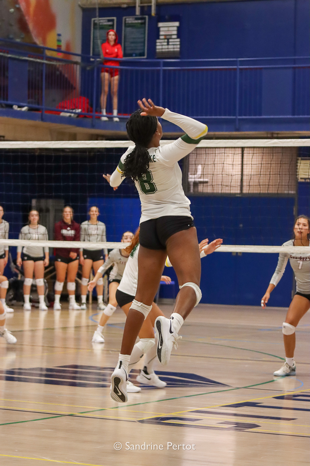Jaël-Esther TELFORT -  Université de Sherbrooke -  - Volleyball - UQAM Invitational 2022 - Vert et Or (#2022UQAMINV05) Photo by: Sandrine Pertot | Siuxy Sports 2022-09-24