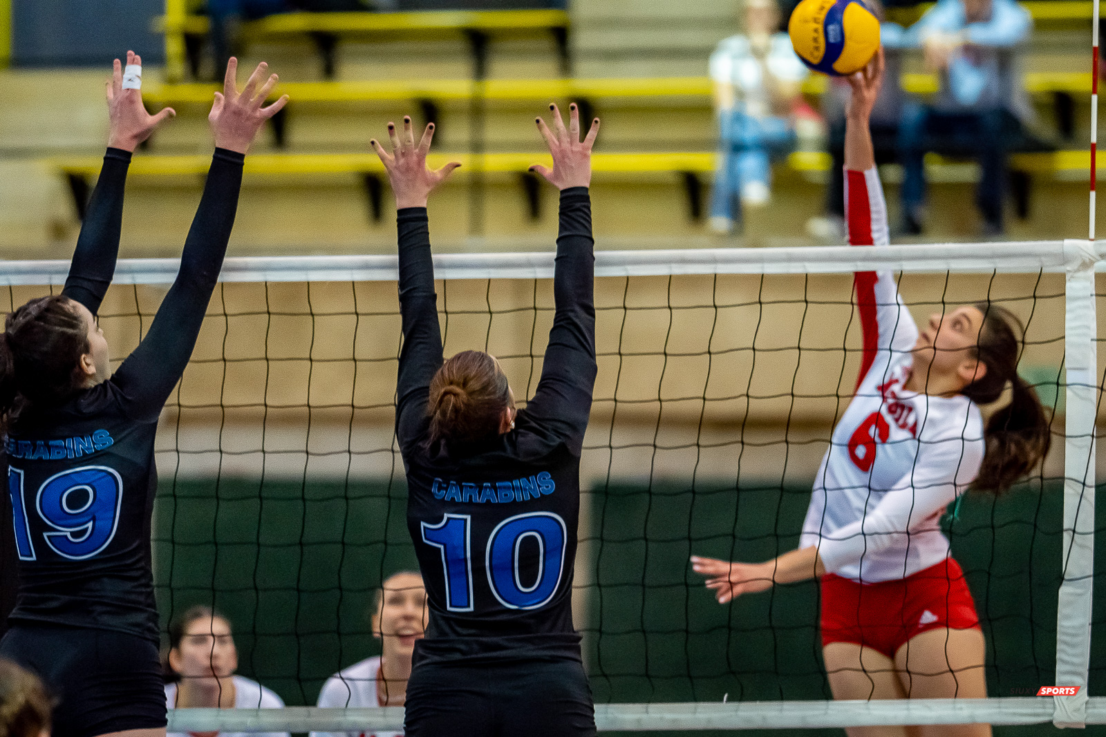 Milica DJORDJEVIC - Sarah MCGLASHAN - - Université de Montréal - Université McGill - Volleyball - RSEQ - 2023 Volley F - Université de Montréal (1) vs (3) McGill University - R5 (#RSEQ2023UDMvMCG01R5) Photo by: Juan Alchourron | Siuxy Sports Milica DJORDJEVIC - Sarah MCGLASHAN - - Université de Montréal - Université McGill - Volleyball - RSEQ - 2023 Volley F - Université de Montréal (1) vs (3) McGill University - R5 (#RSEQ2023UDMvMCG01R5) Photo by: Juan Alchourron | Siuxy Sports