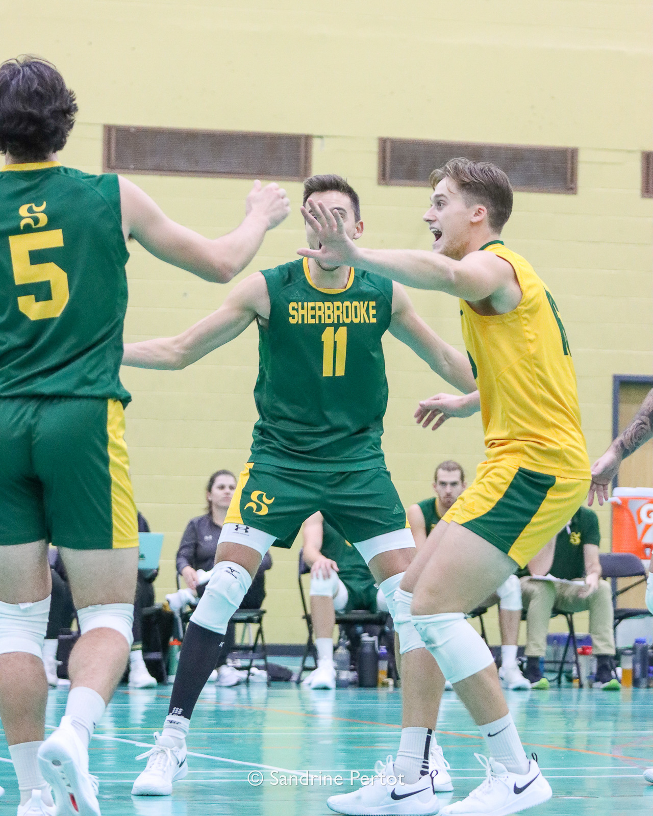  Université de Sherbrooke - Université de Montréal - Volleyball - RSEQ - 2022 Volley M - Université Sherbrooke (2) vs (3) Université de Montréal (#RSEQ2022USHvUDM06) Photo by: Sandrine Pertot | Siuxy Sports 2022-10-16