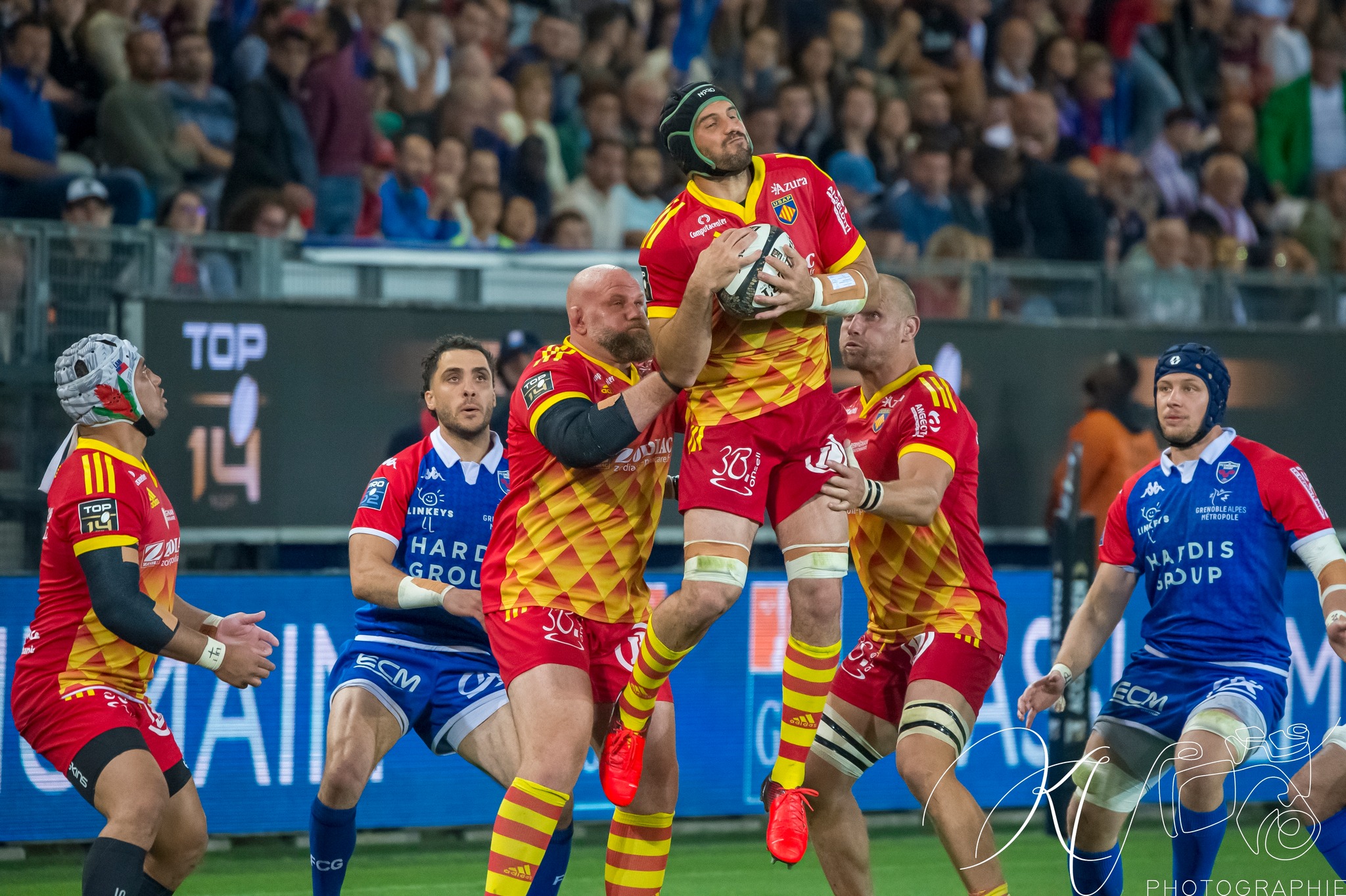 FC Grenoble Rugby - US Arlequins Perpignanais - Rugby - 2023 - Access Match - FC Grenoble (19) vs (33) US Arlequins Perpignananais (#2023FCGUSAP06) Photo by: Karine Valentin | Siuxy Sports 2023-06-03