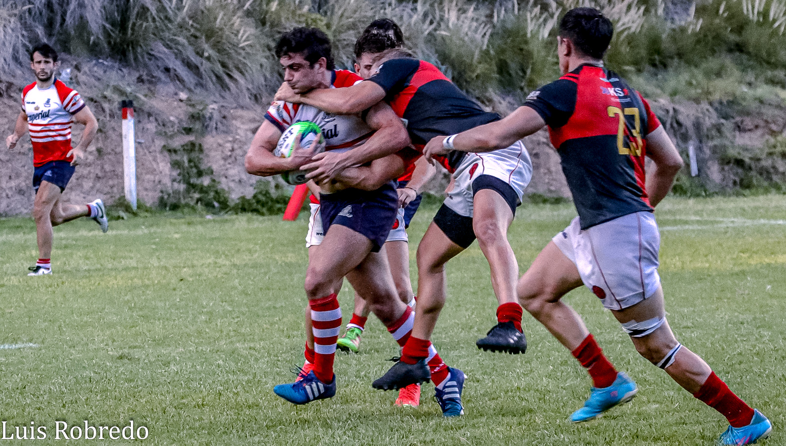  Areco Rugby Club - Tiro Federal de San Pedro - Rugby - Areco Rugby Club vs Tiro Federal de San Pedro (Marzo 2023) (#2023ArecoSanPedro03) Photo by: Luis Robredo | Siuxy Sports 2023-03-04