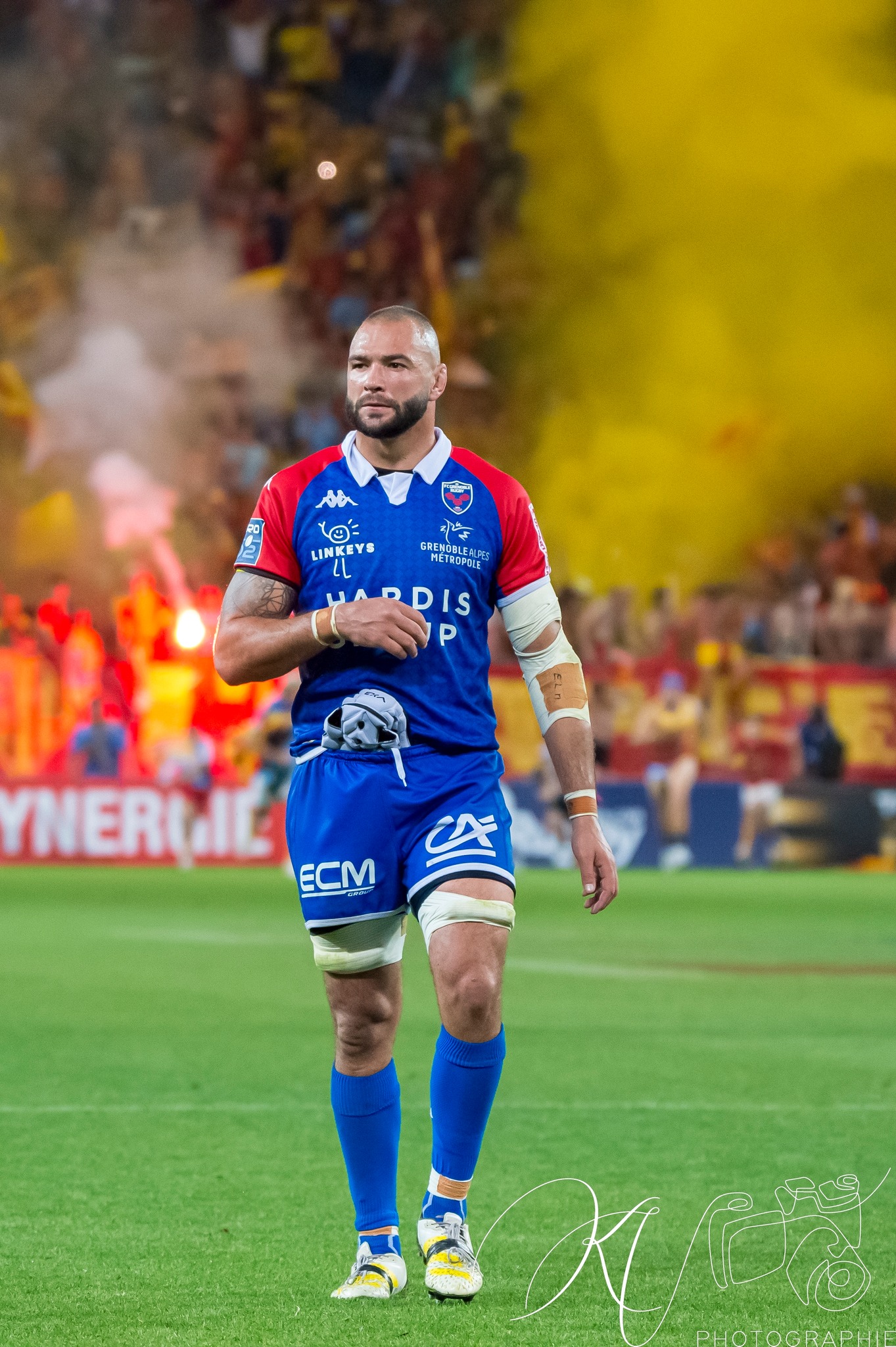  FC Grenoble Rugby - US Arlequins Perpignanais - Rugby - 2023 - Access Match - FC Grenoble (19) vs (33) US Arlequins Perpignananais (#2023FCGUSAP06) Photo by: Karine Valentin | Siuxy Sports 2023-06-03