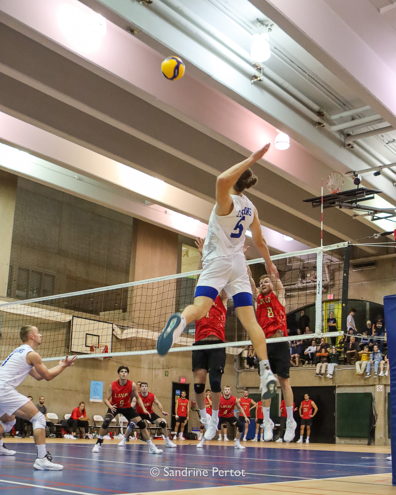  Université de Montréal - Université Laval - Volleyball - RSEQ - 2022 Volley M - Université de Montréal (2) vs (3) Université Laval (#RSEQ2022UdeMvUL08) Photo by: Sandrine Pertot | Siuxy Sports 2022-10-14