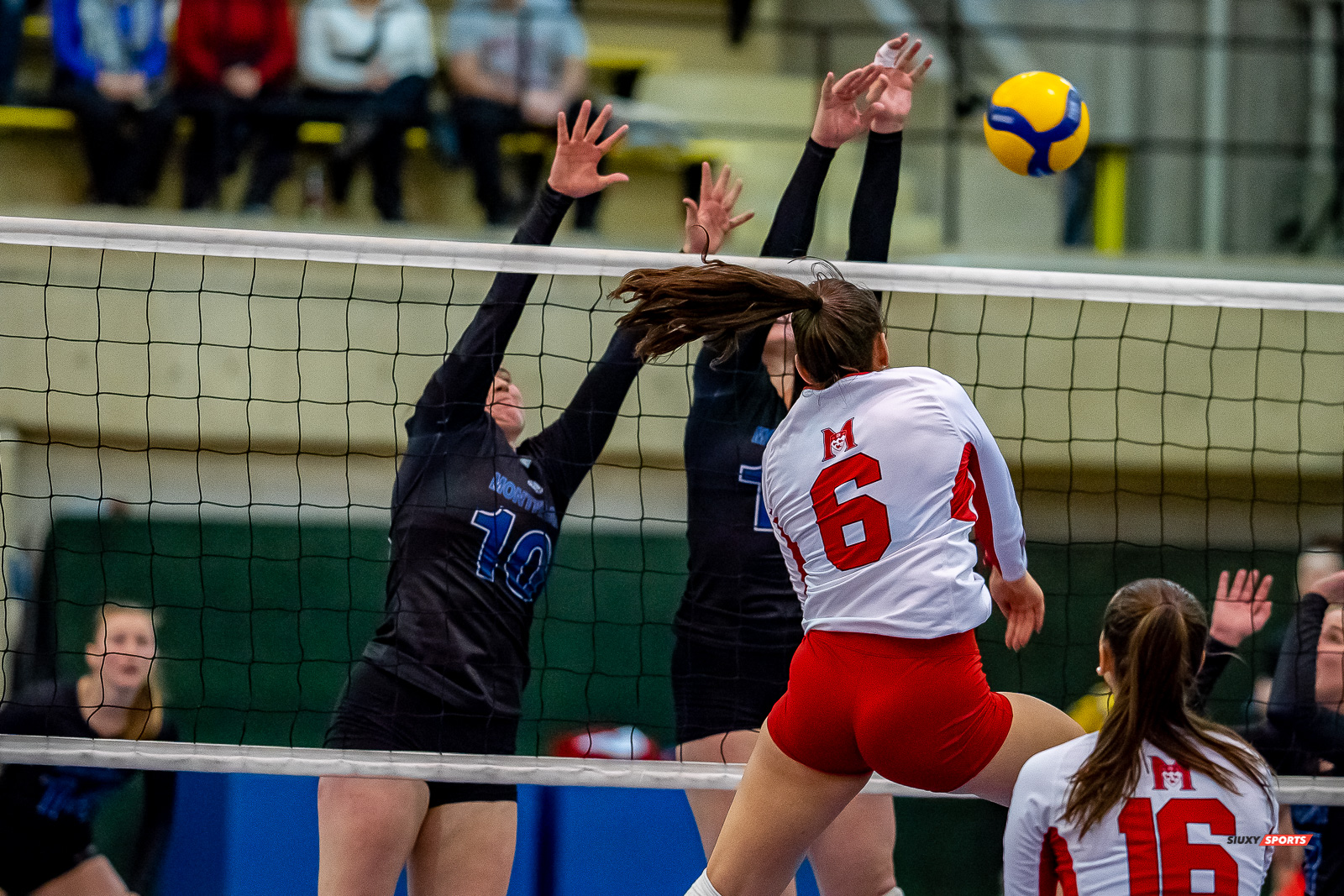 Sarah MCGLASHAN - Charlene ROBITAILLE - - Université de Montréal - Université McGill - Volleyball - RSEQ - 2023 Volley F - Université de Montréal (1) vs (3) McGill University - R5 (#RSEQ2023UDMvMCG01R5) Photo by: Juan Alchourron | Siuxy Sports Sarah MCGLASHAN - Charlene ROBITAILLE - - Université de Montréal - Université McGill - Volleyball - RSEQ - 2023 Volley F - Université de Montréal (1) vs (3) McGill University - R5 (#RSEQ2023UDMvMCG01R5) Photo by: Juan Alchourron | Siuxy Sports