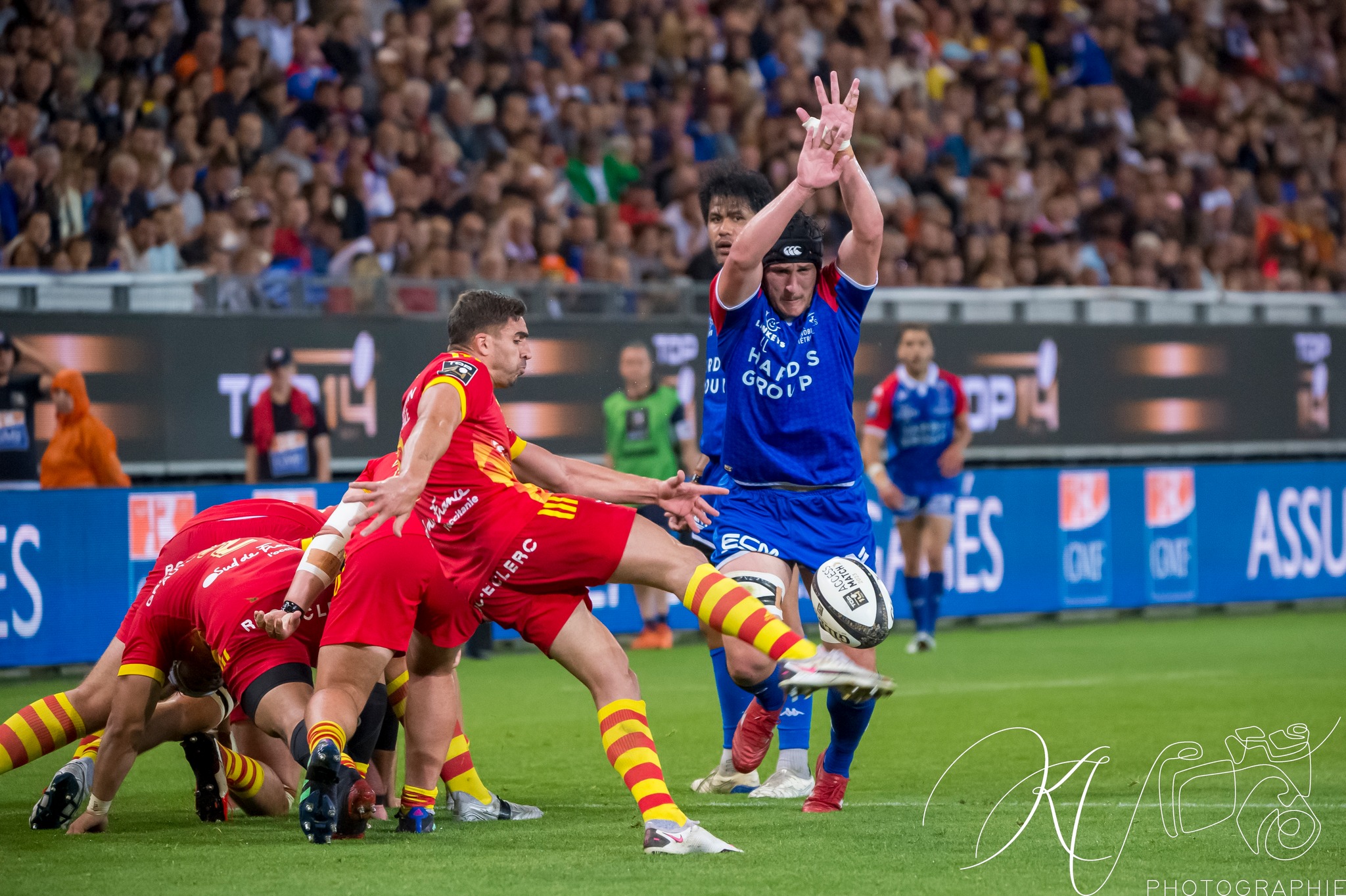 FC Grenoble Rugby - US Arlequins Perpignanais - Rugby - 2023 - Access Match - FC Grenoble (19) vs (33) US Arlequins Perpignananais (#2023FCGUSAP06) Photo by: Karine Valentin | Siuxy Sports 2023-06-03