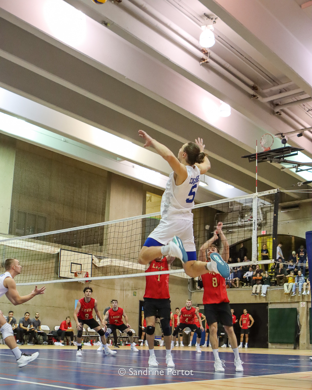  Université de Montréal - Université Laval - Volleyball - RSEQ - 2022 Volley M - Université de Montréal (2) vs (3) Université Laval (#RSEQ2022UdeMvUL08) Photo by: Sandrine Pertot | Siuxy Sports 2022-10-14
