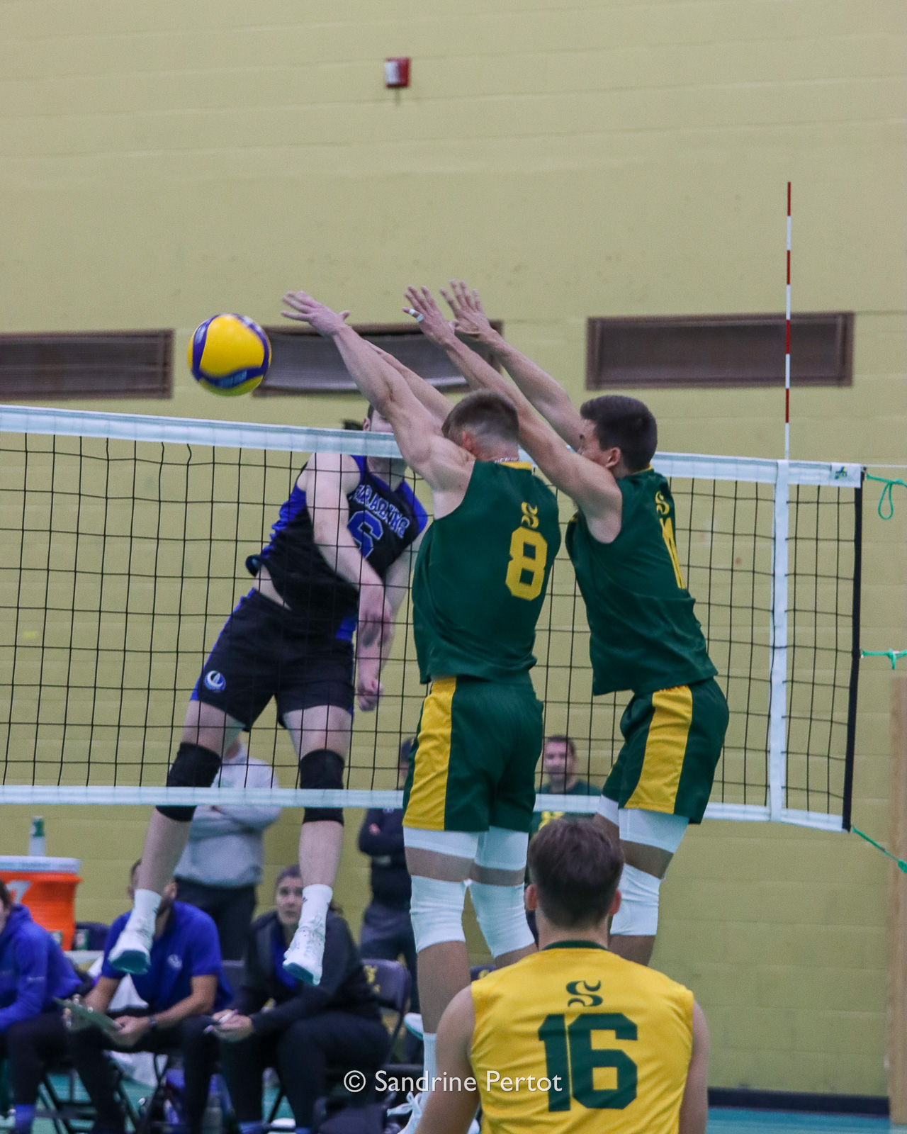  Université de Sherbrooke - Université de Montréal - Volleyball - RSEQ - 2022 Volley M - Université Sherbrooke (2) vs (3) Université de Montréal (#RSEQ2022USHvUDM06) Photo by: Sandrine Pertot | Siuxy Sports 2022-10-16
