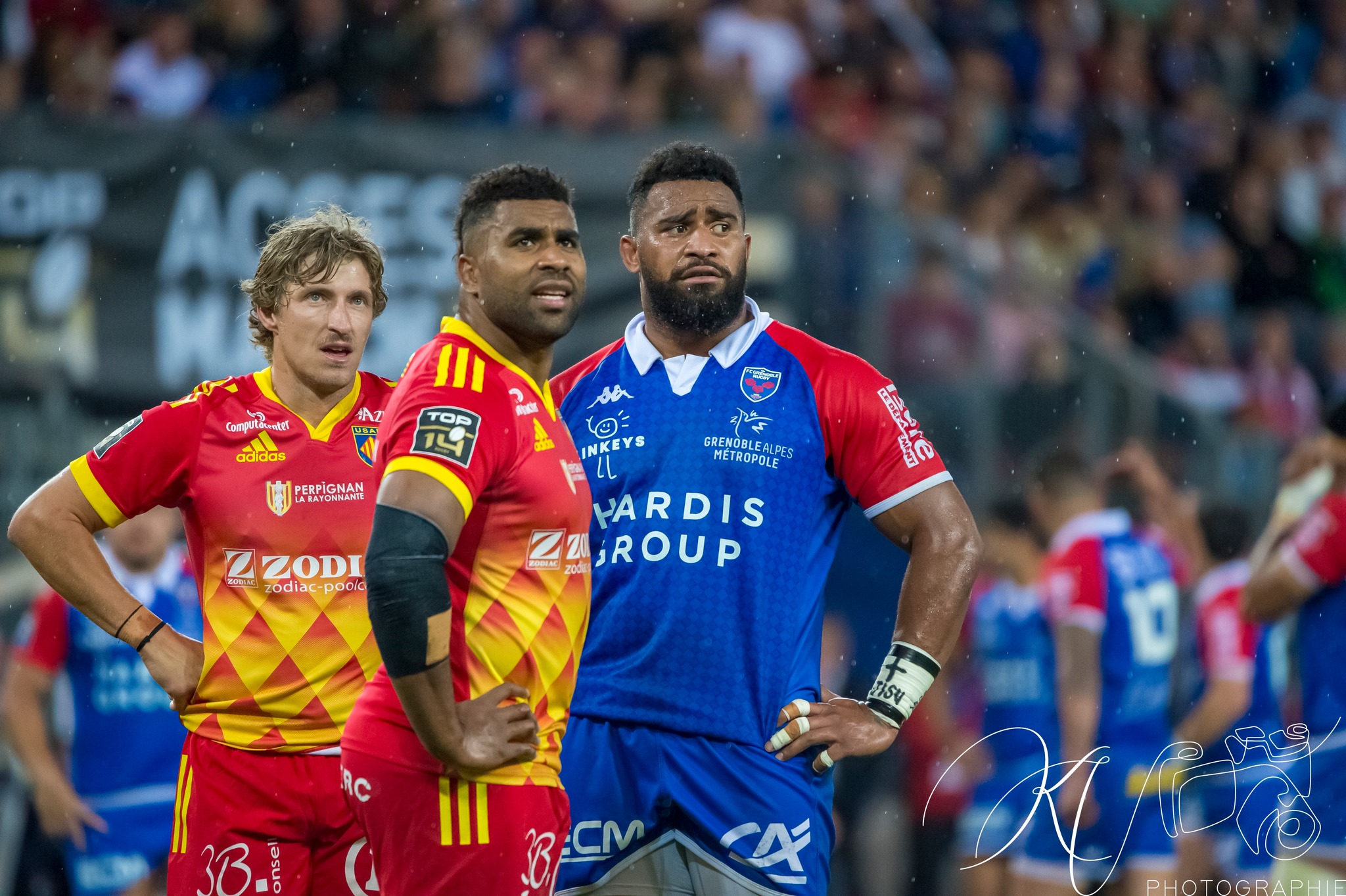 FC Grenoble Rugby - US Arlequins Perpignanais - Rugby - 2023 - Access Match - FC Grenoble (19) vs (33) US Arlequins Perpignananais (#2023FCGUSAP06) Photo by: Karine Valentin | Siuxy Sports 2023-06-03