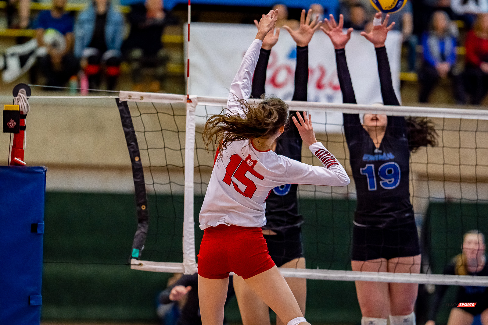 Milica DJORDJEVIC - - Université de Montréal - Université McGill - Volleyball - RSEQ - 2023 Volley F - Université de Montréal (1) vs (3) McGill University - R4 (#RSEQ2023UDMvMCG01R4) Photo by: Juan Alchourron | Siuxy Sports Milica DJORDJEVIC - - Université de Montréal - Université McGill - Volleyball - RSEQ - 2023 Volley F - Université de Montréal (1) vs (3) McGill University - R4 (#RSEQ2023UDMvMCG01R4) Photo by: Juan Alchourron | Siuxy Sports