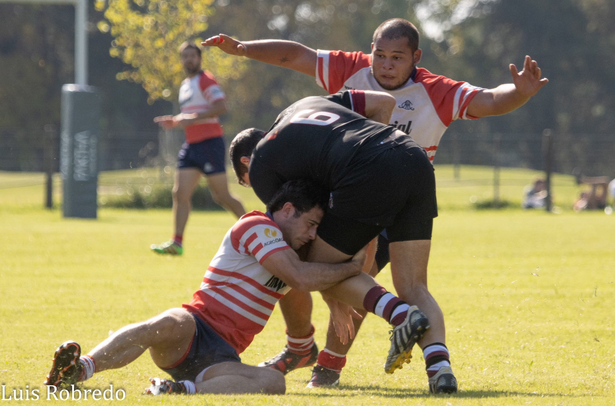  Areco Rugby Club - Asociación Lanús Rugby Club - Rugby - Areco RC Vs Lanus RC (#2023ArecoLanus04) Photo by: Luis Robredo | Siuxy Sports 2023-04-22