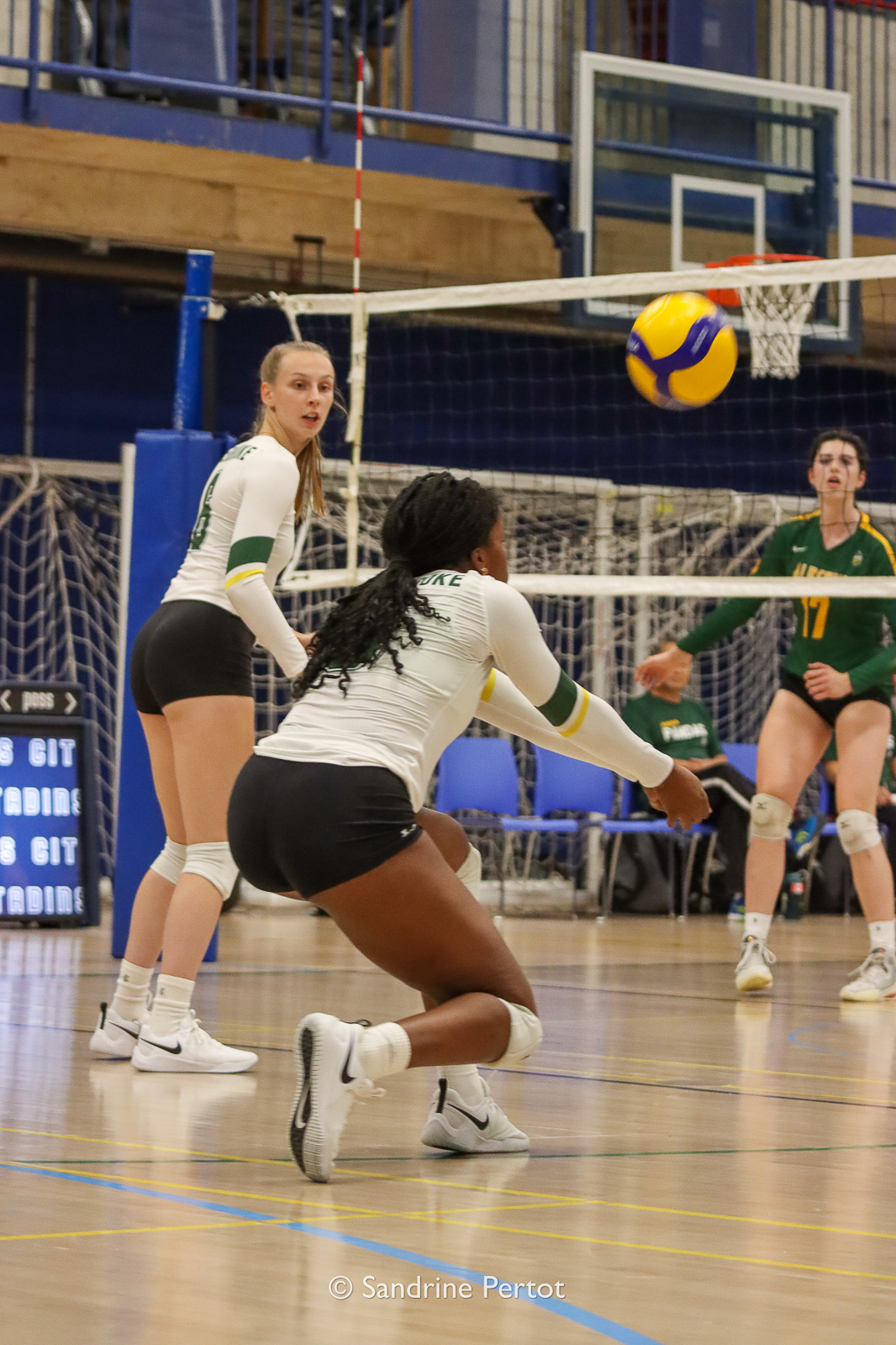 Jaël-Esther TELFORT -  Université de Sherbrooke -  - Volleyball - UQAM Invitational 2022 - Vert et Or (#2022UQAMINV05) Photo by: Sandrine Pertot | Siuxy Sports 2022-09-24